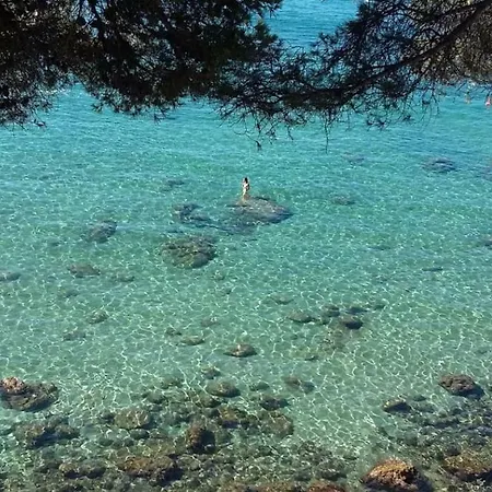 Dans Calme Saint-Cyr-sur-Mer